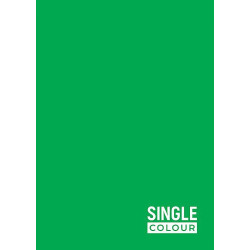 Тетрадка Spree Single Color - А4, 62 листа, широки редове, асортимент