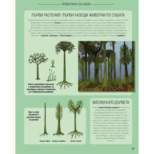 Животът на Земята: Хронология на еволюцията от първата клетка до днес
