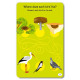 100 Puzzels About the Word and the Alphabet: Еducational Cards / 100 игри за света и буквите: Активни карти | Клевър Бук