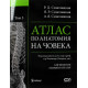 Атлас по анатомия на човека - том 3: Ангиология, Лимфни органи