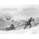 Finding Bear | Хана Голд