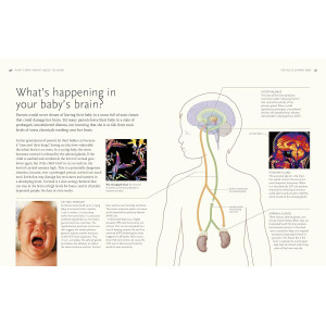 What Every Parent Needs To Know
