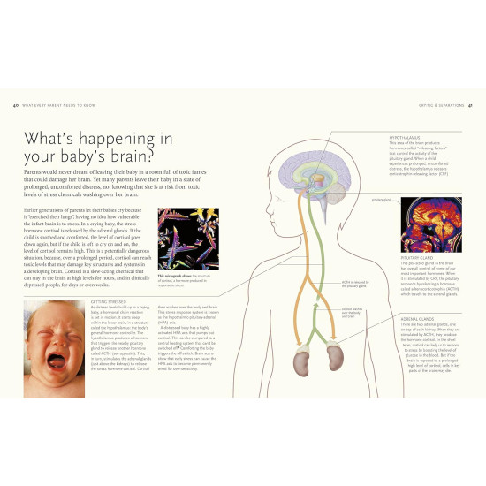 What Every Parent Needs To Know