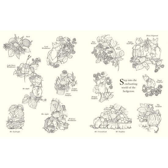 Brambly Hedge Festive Colouring Book | Джил Барклем
