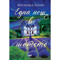 Една нощ в шатото