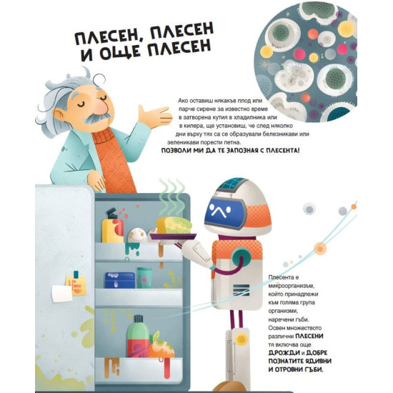 Голяма книга на експериментите | Матия Кривелини