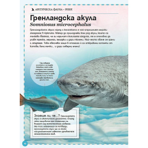 Голяма книга на полярните животни