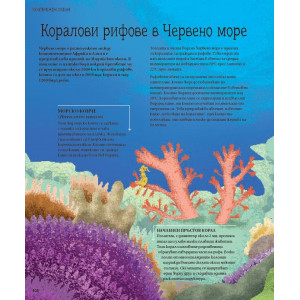 Илюстрована енциклопедия на животните