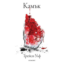 Камък - книга 2
