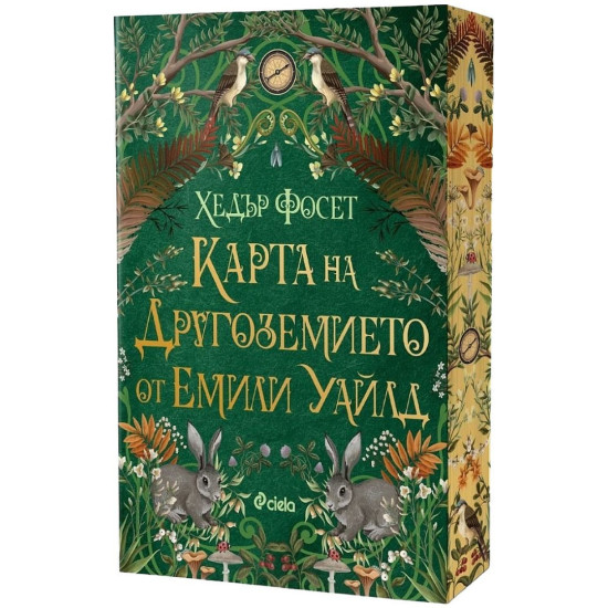 Карта на Другоземието от Емили Уайлд | Хедър Фосет