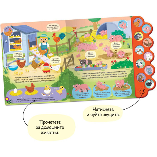 Книга със звуци: Във фермата | Фют