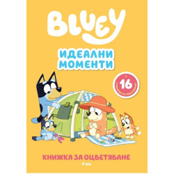 Книжка за оцветяване: Блуи - Идеални моменти
