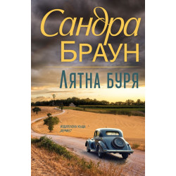Лятна буря