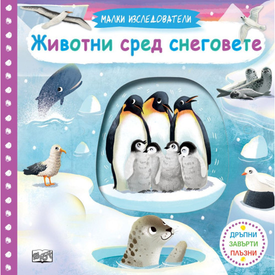 Малки изследователи: Животни сред снеговете | Фют