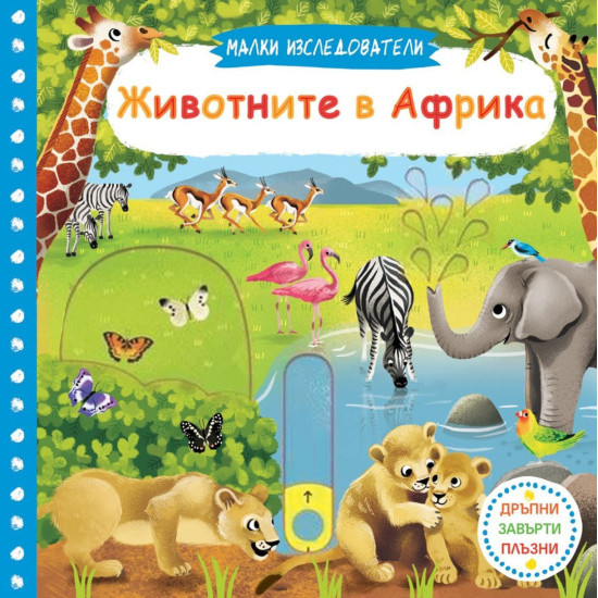 Малки изследователи: Животните в Африка | Фют