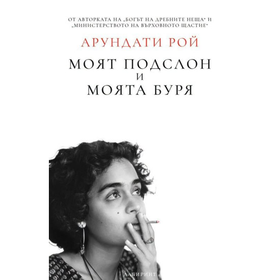 Моят подслон и моята буря | Арундати Рой