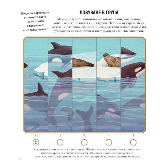 Музей на чудесата: Животните | Поли Чийзман