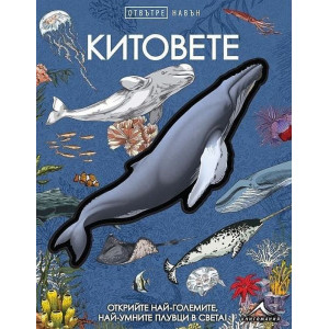Отвътре навън: Китовете
