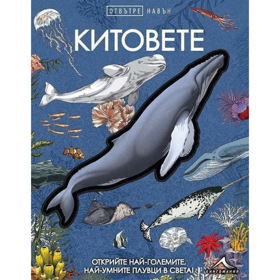 Отвътре навън: Китовете | Книгомания