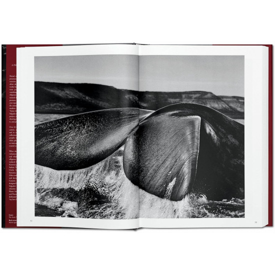 Sebastião Salgado. Genesis | Себастиао Салгадо