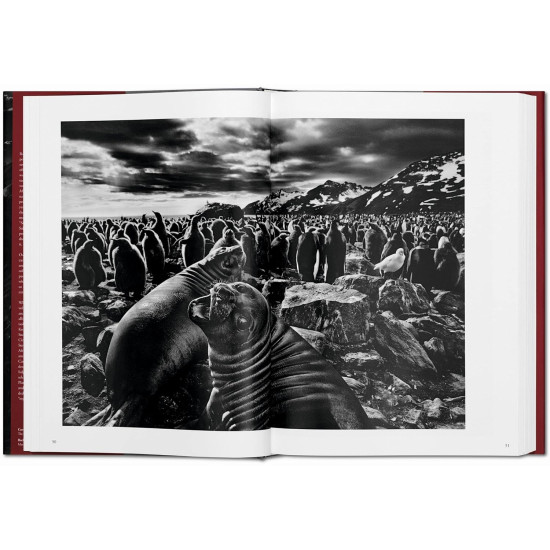 Sebastião Salgado. Genesis | Себастиао Салгадо