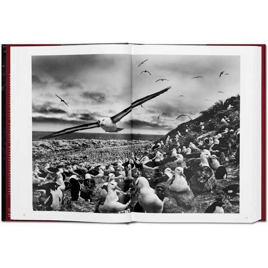 Sebastião Salgado. Genesis | Себастиао Салгадо