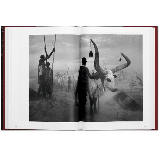 Sebastião Salgado. Genesis | Себастиао Салгадо