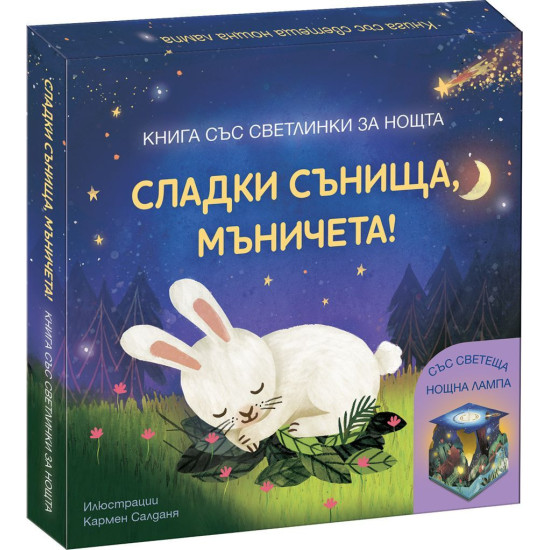 Сладки сънища, мъничета! Книга със светлинки за нощта | Фют