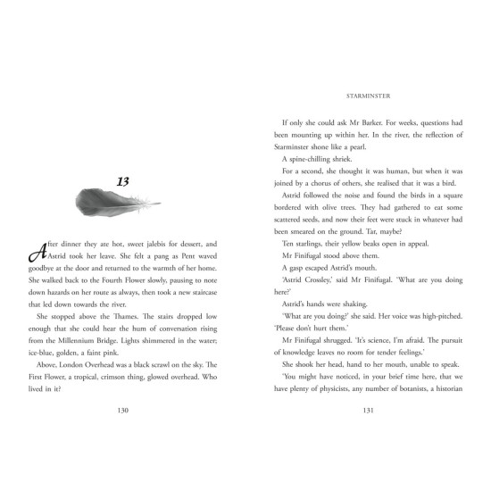 Starminster - book 1 | Меган Хопкинс
