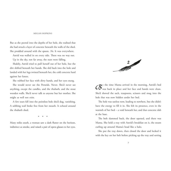 Starminster - book 1 | Меган Хопкинс