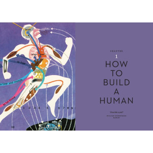 The Body Illustrated: A Guide for Occupants