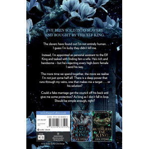 The Broken Elf King - book 2