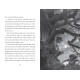 Turtle Moon | Хана Голд