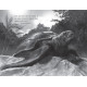 Turtle Moon | Хана Голд