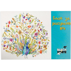 Блок за рисуване Black&White №4 - 10 листа, асортимент