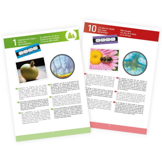 Детски микроскоп Buki Sciences - С 15 експеримента | Игри и играчки