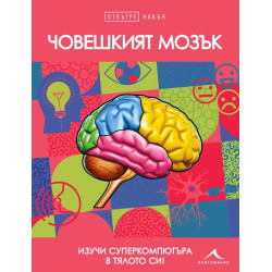 Отвътре навън: Човешкият мозък