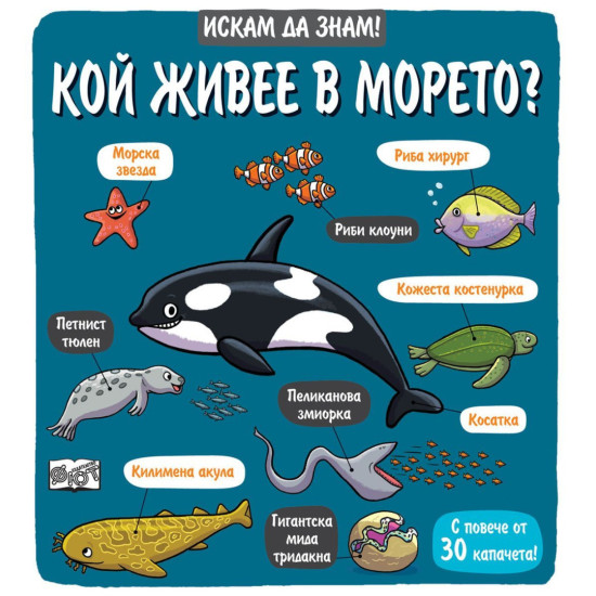 Искам да знам!: Кой живее в морето?