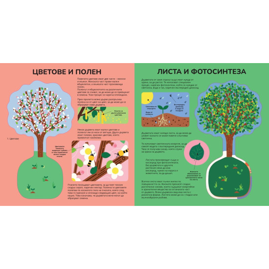 Книга за дърветата