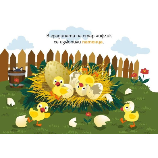 Куклен театър: Грозното патенце