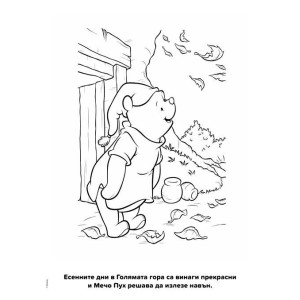 Истории с четка и боички: Мечо Пух 2