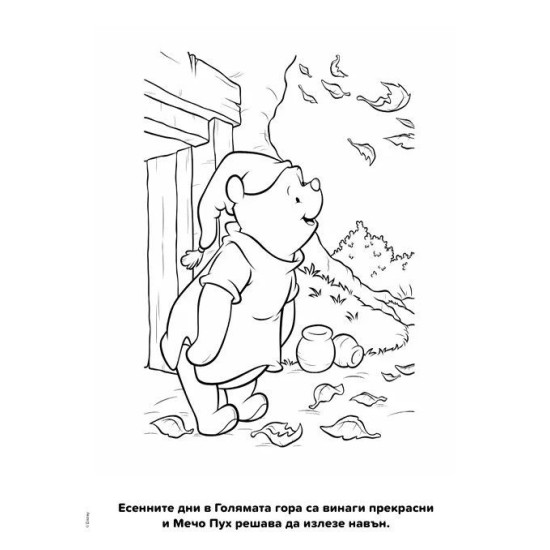 Истории с четка и боички: Мечо Пух 2 |
