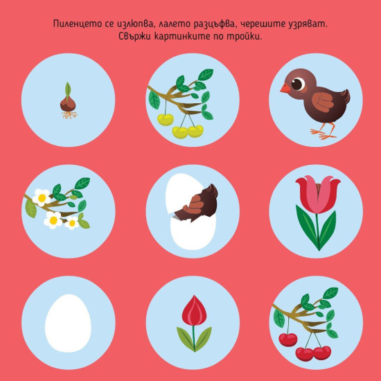 Игри и приключения с Беа - Логика