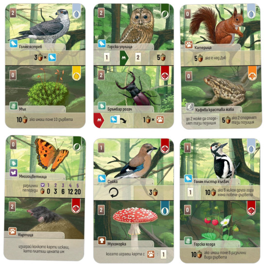 Настолна игра Горска Бъркотевица | Bluebird Games