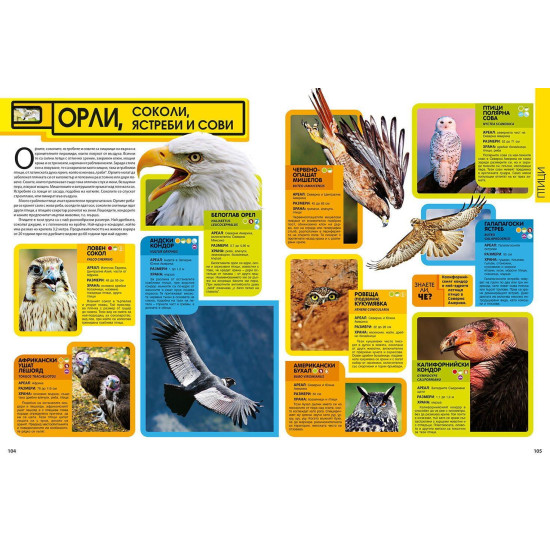 National Geographic: Енциклопедия за животните