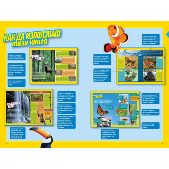 National Geographic Kids: Излез навън