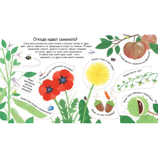 Първи въпроси и отговори: Как растат цветята?