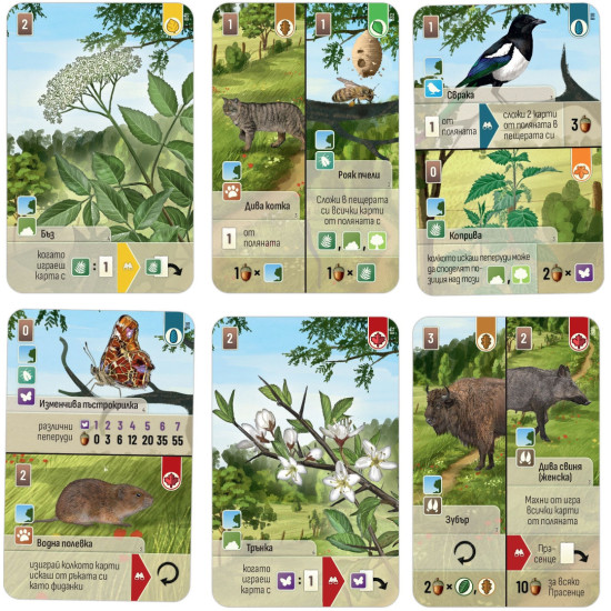Разширение за настолна игра Горска бъркотевица: На края на гората | Bluebird Games