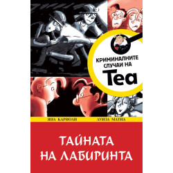 Тайната на лабиринта - книга 1