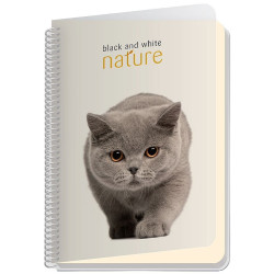 Тетрадка със спирала Black&White Nature - А4, 100 листа, широки редове, асортимент